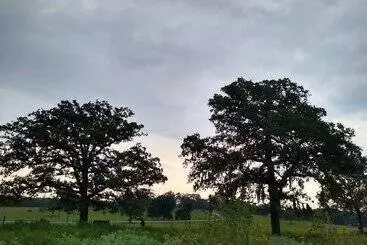 Hotelli Country Dome Suites