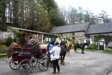 コテージ The Mill House At Cwmiar Farm   Relaxing Holidays