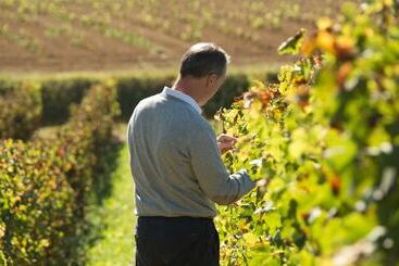 בית מלון כפרי Château Fage