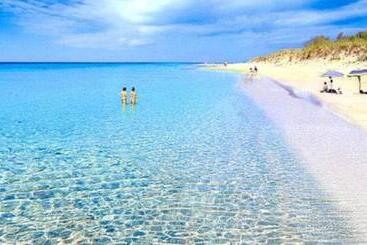 تختخواب و صبحانه Room In Bb   Casa Dulcamara Centro Storico