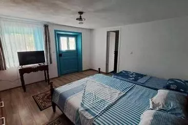 Pensiunea Casa Golovita