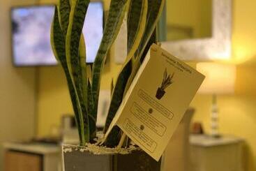 בית מלון כפרי Palladium