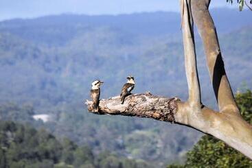 Phoenix Eumundi Bed & Breakfast