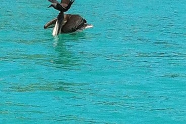 Bed and Breakfast Galapagos Chalet