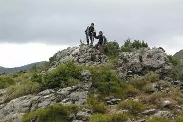 Auberge Dardara