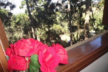 Bed and Breakfast Casa De Campos