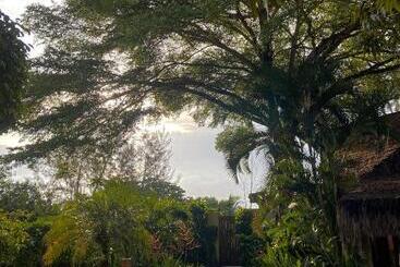 酒店 Pousada Barrabella