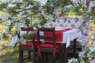 Bed and Breakfast Vira Creek House