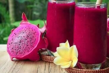 Retkeilymaja Puri Lestari