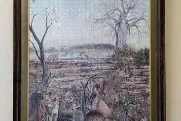 پانسیون Room In Villa   Zambezi Family Lodge   Lion Room