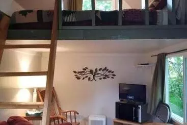 Mökkimajoitus Bear Necessities Alaska