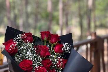 住宿加早餐 Pydnai_village