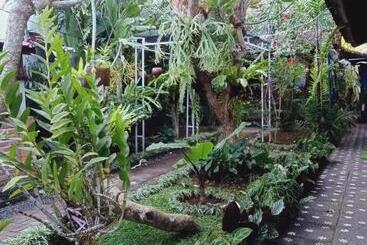 膳宿费 Buratwangi Tropis House