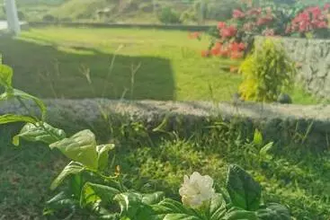 پانسیون Panoramic Paradise