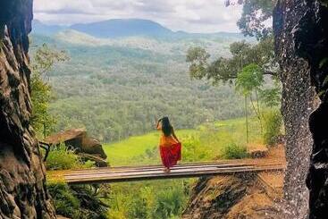 ホテル Grand Cabin Pinnawala