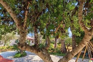 مبيت وإفطار Residence Il Carrubo