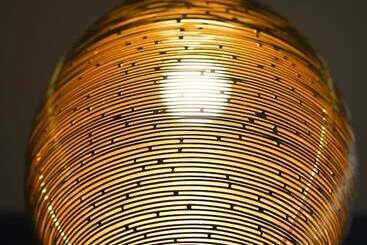 Bed and Breakfast Lime Tree 2bhk Serviced Apartment