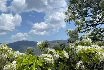 Bed & Breakfast Gevorgyans