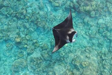 Pensiune Heavenly Residence