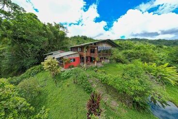 Bed and Breakfast Birds & Breakfast