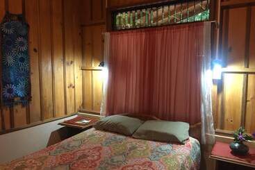 Bed and Breakfast Birds & Breakfast