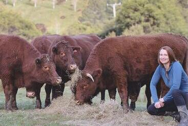 Bed and Breakfast Villa Shemshi