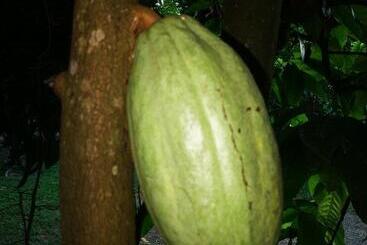 هاستل Cabinas Rhode Island