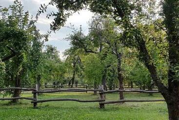 فندق Augustusgabe Barby