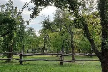 ホテル Augustusgabe Barby