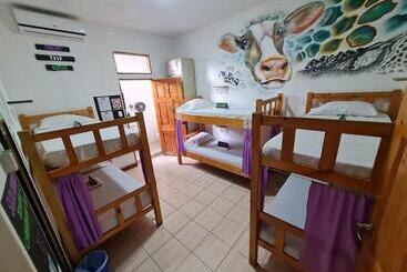 Пансион Slow Monkey Hostel