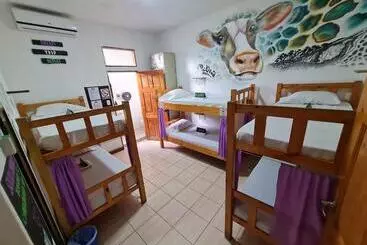 ペンション Slow Monkey Hostel
