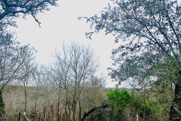 Bed and Breakfast Mosaic On The Hill