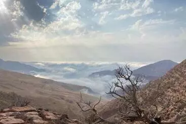 تختخواب و صبحانه Bedouin Home. Stay And Guiding