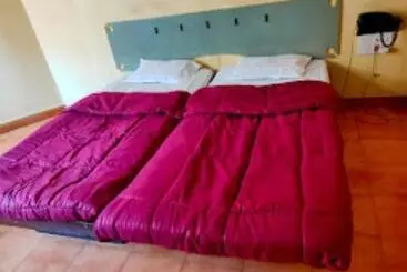 Hotel Alpha
