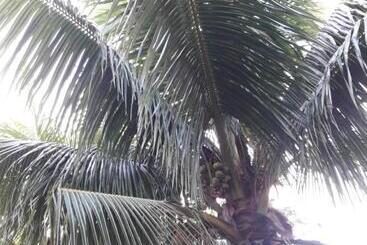 פנסיון Crystal Guest House