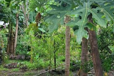 膳宿费 Hostal Xilotl