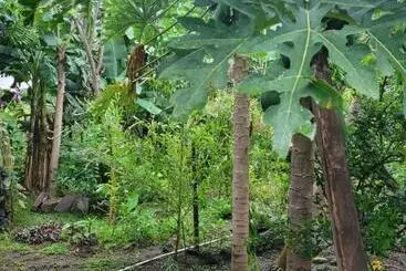 Majatalo Hostal Xilotl