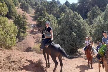 פנסיון Chimgan Home