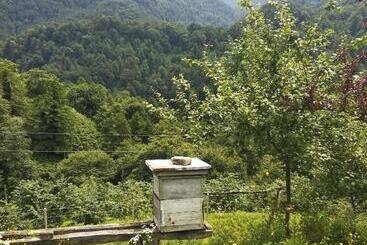 Пансион Gorgiladze Resorts In Mtirala National Park