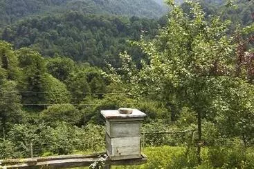 پانسیون Gorgiladze Resorts In Mtirala National Park