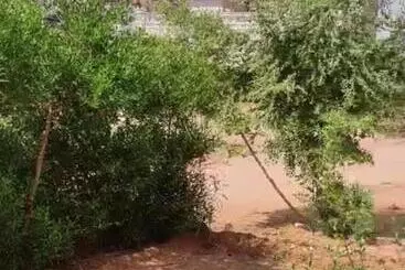 هتل آپارتمان Banna House