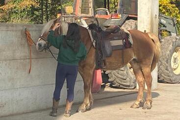 Pensjonat Maso Clena