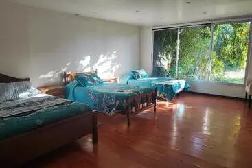 ペンション Hostal Fernanda