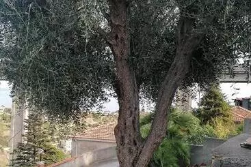 ペンション La Casa Di Trilly