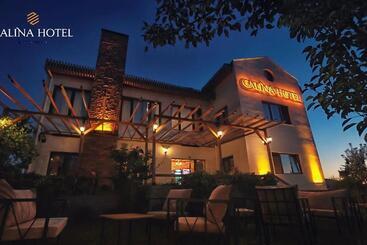 هتل Calina