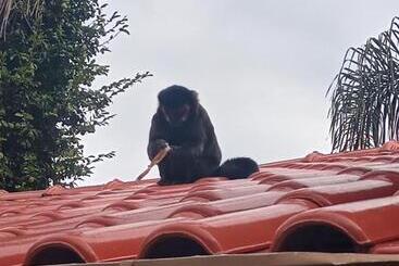 بنسيون Casa Do Mirante Quarto 101