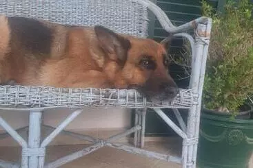 B&b Il Giardino Ritrovato