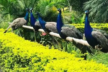 La Santísima La Mesa Eco Finca