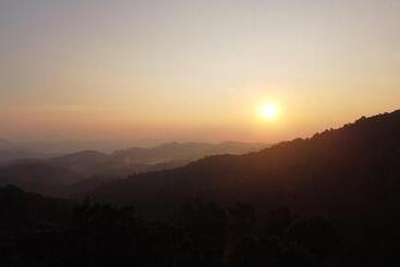 900 Woods Wayanad Eco Resort A Sprawling Jungle Stay Near Glass Bridge