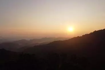900 Woods Wayanad Eco Resort   A Sprawling Jungle Stay Near Glass Bridge